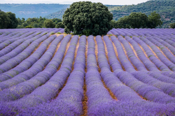 15123143_1629127934053682_1211699036656174884_o 15123143_1629127934053682_1211699036656174884_o