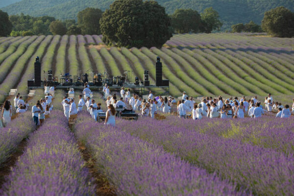 48355200_1981563115476827_4056057416582692864_o 48355200_1981563115476827_4056057416582692864_o