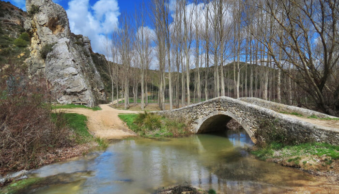 corner11139 corner11139