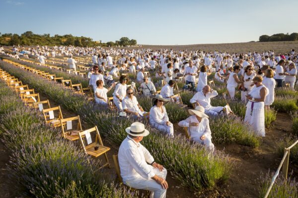 fdl_2017_concierto3 fdl_2017_concierto3