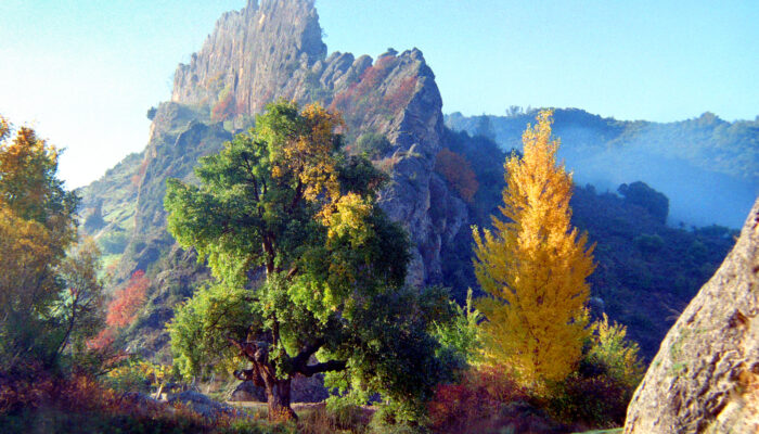 village29080 (1) village29080 (1)