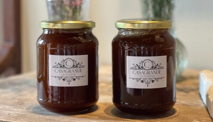 WhatsApp Image 2022-12-20 at 9.25.12 AM (4) WhatsApp Image 2022-12-20 at 9.25.12 AM (4)