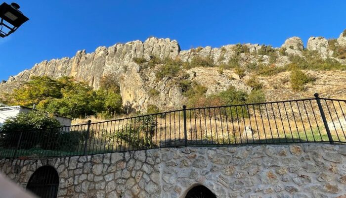 WhatsApp Image 2022-12-20 at 9.25.16 AM (5) WhatsApp Image 2022-12-20 at 9.25.16 AM (5)